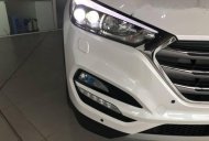 Hyundai Tucson 2017 - Bán ô tô Hyundai Tucson đời 2017, màu trắng, 900tr giá 900 triệu tại Kiên Giang