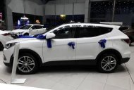 Hyundai Santa Fe 2017 - Bán xe Hyundai Santa Fe sản xuất 2017, màu trắng giá 1 tỷ 10 tr tại Sóc Trăng