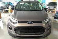 Ford EcoSport 2018 - Bán Ford EcoSport đời 2018, xe nhập giá 539 triệu tại Long An