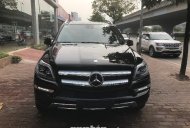 Mercedes-Benz GL 2015 - Cần bán xe Mercedes sản xuất 2015, màu đen, nhập khẩu giá 3 tỷ 199 tr tại Hà Nội