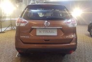 Nissan X trail 2017 - Cần bán Nissan X trail đời 2017, màu nâu vàng giá 933 triệu tại Nghệ An