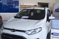 Ford EcoSport SVP 2017 - Cần bán gấp xe Ford EcoSport SVP năm 2017 giá 650 triệu tại Kiên Giang