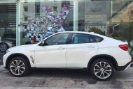 BMW X6 xDrive 35i 2018 - Cần bán BMW X6 xDrive 35i đời 2018, màu trắng, nhập khẩu nguyên chiếc giá 3 tỷ 250 tr tại Tp.HCM