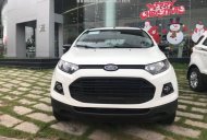 Ford EcoSport 2017 - Bán xe Ford EcoSport đời 2017, màu trắng, nhập khẩu, 650tr giá 650 triệu tại Đồng Tháp