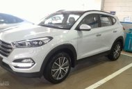 Hyundai Tucson 2017 - Cần bán Tucson đời 2018, xe mới 100%, giá tốt nhất giá 755 triệu tại Lạng Sơn