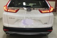 Honda CR V L 2018 - Bán Honda CR V 1.5L đời 2018, màu trắng, nhập khẩu   giá 1 tỷ 420 tr tại Tiền Giang
