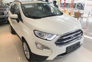 Ford EcoSport 2018 - Bán xe Ford EcoSport 2018 (xe cao cấp). Giá xe chưa giảm, LH Hotline báo giá xe Ford 2018 rẻ nhất: 093.114.2545 giá 545 triệu tại Phú Yên