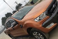 Ford Ranger 3.2 Wildtrak 2017 - Chính chủ bán Ford Ranger 3.2 Wildtrak SX 2017, nhập khẩu giá 795 triệu tại Hải Phòng
