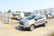 Ford EcoSport Titanium 2018 - Bán Ford Ecosport Titanium 2019, đủ màu, hỗ trợ trả góp lên tới 90% giá trị xe, vui lòng liên hệ Mr Trung 0967664648. Giao xe ở Hưng Yên giá 500 triệu tại Hưng Yên