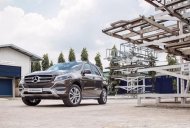 Mercedes-Benz GLE-Class  400 EX 4Matic  2018 - Bán xe Mercedes 400 EX 4Matic 2018, nhập khẩu nguyên chiếc, mới 100% giá 3 tỷ 599 tr tại Tp.HCM