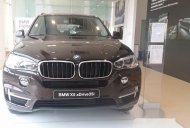 BMW X5 xDrive 35i 2018 - Bán BMW X5 xDrive 35i đời 2018, màu nâu, nhập khẩu giá 3 tỷ 199 tr tại Tp.HCM