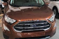 Ford EcoSport Titanium 1.5L AT 2018 - Bán Ford EcoSport Titanium 1.5L AT sản xuất 2018, màu nâu giá 648 triệu tại Bình Thuận  