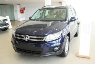 Volkswagen Tiguan 2.0 AT 2017 - Bán Volkswagen Tiguan 2.0 AT năm 2017, màu xanh lam, xe nhập giá 1 tỷ 290 tr tại Bình Dương
