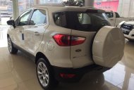 Ford EcoSport Titanium 2018 - Bán EcoSports 2018 màu trắng tại Nam Định 2018, giao ngay hỗ trợ giao xe, trả góp toàn quốc giá 648 triệu tại Nam Định