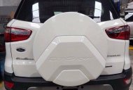 Ford EcoSport 1.5l AT Titanium  2018 - Bán ô tô Ford EcoSport 1.0l, 1.5l AT Titanium, 1.5L AT Trend, 1.5l AT Ambiente 1.5lMT Ambiente đời 2018, màu trắng giá 545 triệu tại Bình Thuận  