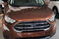 Ford EcoSport 2018 - Bán ô tô Ford EcoSport 2018, giá chỉ từ 128 triệu là có ngay xe giá 540 triệu tại Bình Thuận  