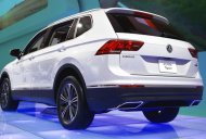 Volkswagen Tiguan Mass 2016 - Bán Volkswagen Tiguan sản xuất năm 2016, màu trắng, nhập khẩu nguyên chiếc giá 1 tỷ 290 tr tại Tp.HCM