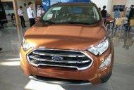 Ford EcoSport 1.0 Ecoboost  2018 - Bán ô tô Ford EcoSport 1.0 Ecoboost đời 2018, màu nâu, xe nhập giá 689 triệu tại Bắc Kạn