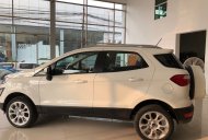Ford EcoSport Ambient MT 2018 - Ford Thái Bình bán xe Ford Ecosport các phiên bản giá chỉ từ 545Tr, trả góp 80%. LH: 0988587365 giá 545 triệu tại Thái Bình