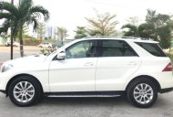 Mercedes-Benz ML Class 250 CDi 4Matic 2013 - Bán Mercedes 250 CDi 4Matic đời 2013, màu trắng, nhập khẩu giá 1 tỷ 950 tr tại Tp.HCM