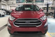Ford EcoSport 2018 - Ford Ecosport Titanium 2018, đủ màu hỗ trợ trả góp lên tới 80% giá trị xe, vui lòng liên hệ Mr. Duy 0906.009.934 giá 545 triệu tại Gia Lai