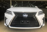 Lexus RX350 Luxury 2018 - Bán Lexus RX350 Luxury đời 2018, màu trắng, nhập khẩu chính hãng giá 4 tỷ 120 tr tại Hà Nội