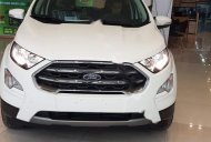 Ford EcoSport 2018 - Bán ô tô Ford EcoSport đời 2018, màu trắng giá 648 triệu tại Nghệ An
