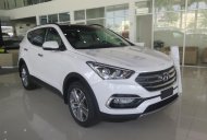 Hyundai Santa Fe 2018 - Bán xe Hyundai Santa Fe -ưu đãi lớn tại Hyundai Cao Bằng giá 903 triệu tại Cao Bằng