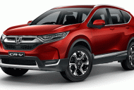 Honda CR V L 2018 - Bán xe Honda CR-V L đời 2018 giá 1 tỷ 73 tr tại Lâm Đồng