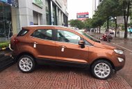 Ford EcoSport  Titanium AT 2018 - Cần bán Ford EcoSport Titanium đời 2018, màu nâu, 648tr, giao xe tại Nam Định giá 648 triệu tại Nam Định