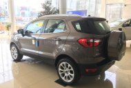 Ford EcoSport Titanium AT 2018 - Bán Ford EcoSport Titanium đời 2018, màu xám (ghi), 648tr tại Điện Biên giá 648 triệu tại Điện Biên