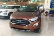 Ford EcoSport Ecoboost 1.0 AT 2018 - Bán Ford EcoSport Ecoboost đời 2018, màu nâu tại Cao Bằng giá 689 triệu tại Cao Bằng