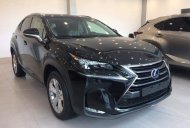 Lexus NX 300H Luxury 2017 - Giao ngay xe mới nhập khẩu Châu Âu Lexus NX300H, giấy tờ đầy đủ trao tay giá 3 tỷ 150 tr tại Hà Nội