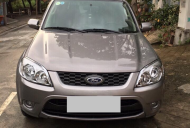 Ford Escape XLS  2015 - Bán ô tô Ford Escape XLS đời 2015, màu xám giá 445 triệu tại Tp.HCM