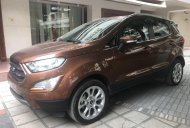 Ford EcoSport Ecoboost 1.0L AT 2018 - Bán Ford Ecosport 2018 tại Nam Định, khuyến mãi lớn, đủ màu, giao ngay, hỗ trợ vay 80% giá 689 triệu tại Nam Định