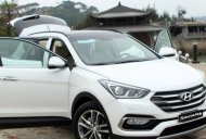 Hyundai Santa Fe 2018 - Bán Hyundai Santa Fe màu cát không lợi nhuận chỉ 300tr, trả góp vay 80% giá 895 triệu tại Thanh Hóa