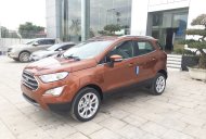 Ford EcoSport Ambien AT: 2018 - Cần bán xe EcoSport 2018, màu mâu giá 569 triệu tại Thanh Hóa