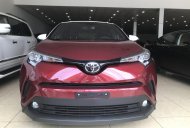 Toyota IQ Mới   CHR 2018 - Xe Mới Toyota IQ CHR 2018 giá 194 triệu tại Cả nước