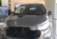 Ford EcoSport   Ambiente 2018 - Bán ô tô Ford EcoSport Ambiente sản xuất 2018, màu xám giá 510 triệu tại Hậu Giang
