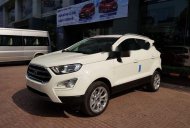 Ford EcoSport 2018 - Cần bán Ford EcoSport sản xuất 2018, màu trắng, giá 569tr giá 569 triệu tại Quảng Nam