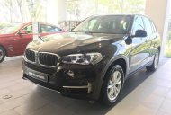 BMW X5 2017 - Bán BMW X5 2017, màu nâu, nhập khẩu nguyên chiếc giá 3 tỷ 599 tr tại Tp.HCM