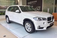 BMW X5 xDriver35i 2017 - Bán xe BMW X5 xDriver35i năm sản xuất 2017, màu trắng, nhập khẩu nguyên chiếc giá 3 tỷ 599 tr tại Tp.HCM
