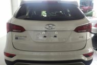 Hyundai Santa Fe 2017 - Cần bán Hyundai Santa Fe đời 2018, màu trắng giá 920 triệu tại Tp.HCM