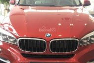 BMW X6 2017 - Bán xe BMW X6 có xe giao ngay đời 2017, màu đỏ, nhập khẩu nguyên chiếc giá 3 tỷ 649 tr tại Tp.HCM