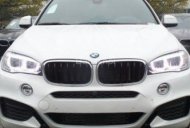 BMW X6 2017 - Cần bán BMW X6 năm sản xuất 2017, màu trắng, nhập khẩu giá 3 tỷ 695 tr tại Hà Nội