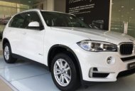 BMW X5 2017 - Bán ô tô BMW X5 xDrive35i nhập khẩu Đức, đời 2017 - 01653802800 giá 2 tỷ 900 tr tại Đà Nẵng