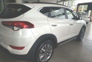 Hyundai Tucson  2.0 AT 2018 - Cần bán xe Hyundai Tucson 2.0 AT đời 2018, màu trắng giá 920 triệu tại Vĩnh Long