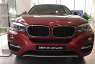 BMW X5 2017 - Bán xe BMW X5 năm sản xuất 2017, màu đỏ, nhập khẩu nguyên chiếc giá 3 tỷ 599 tr tại Tp.HCM