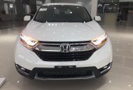 Honda CR V  L  2018 - Bán ô tô Honda CR V L đời 2018, màu trắng, nhập khẩu nguyên chiếc giá 1 tỷ 73 tr tại Thái Bình