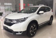 Honda CR V 1.5 G 2018 - Bán Honda CR V 1.5 G năm sản xuất 2018, nhập khẩu giá 1 tỷ 3 tr tại Gia Lai